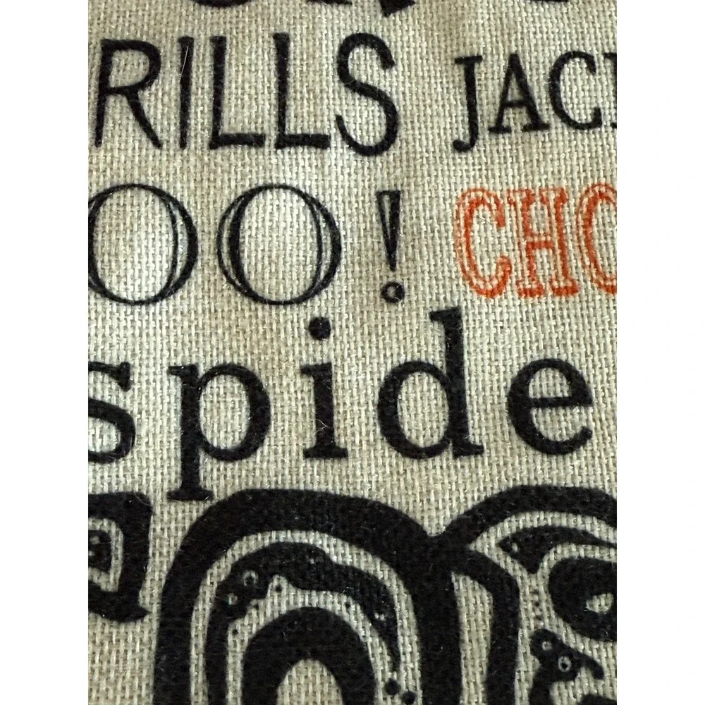 Unbranded Halloween Pillow Covers Set of 2 18x18 Black Cream Excellent Spooky